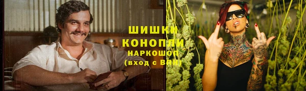 дживик Нея