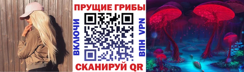 Псилоцибиновые грибы прущие грибы  Крым 