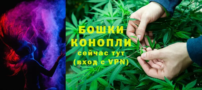 Бошки марихуана OG Kush  дарнет шоп  Крым 